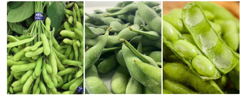 edamame snack edamame snack